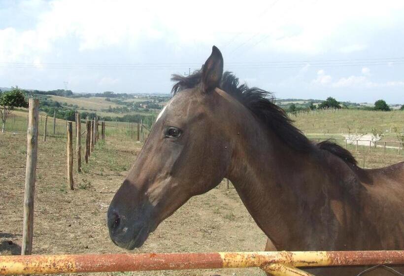 酒店 Il Casale Di Roma