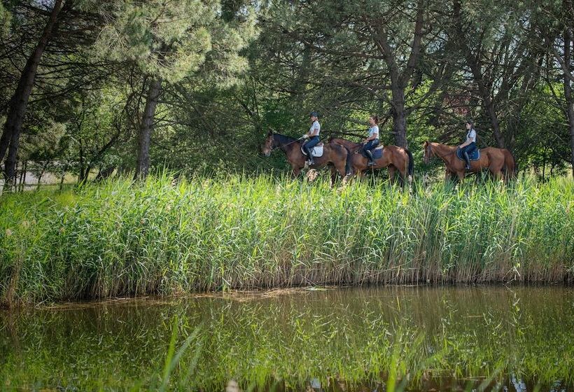 ホテル Isola Di Albarella