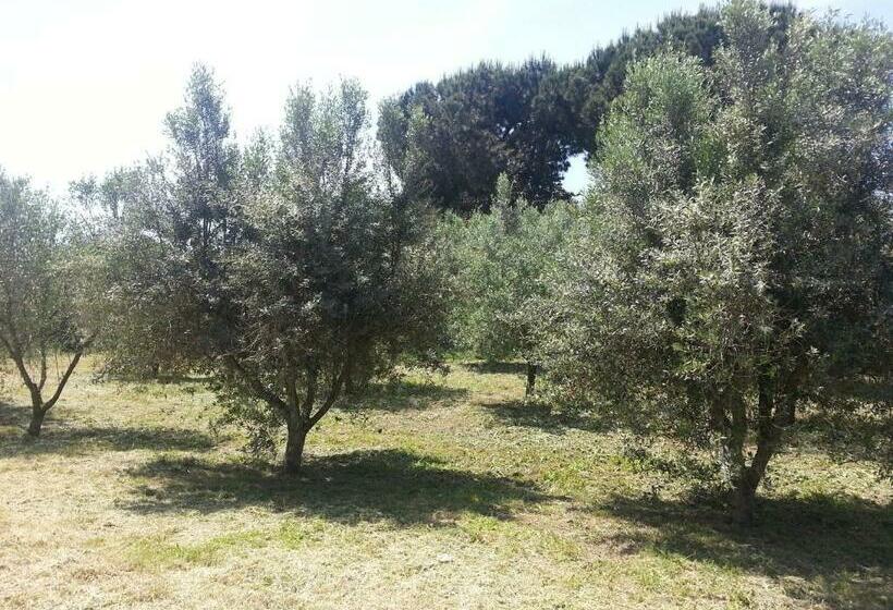 فندق La Finestra Sul Cortile