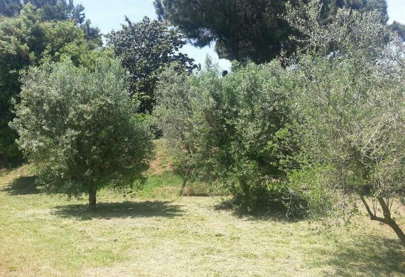 فندق La Finestra Sul Cortile