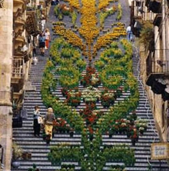 호텔 La Rosa Antica