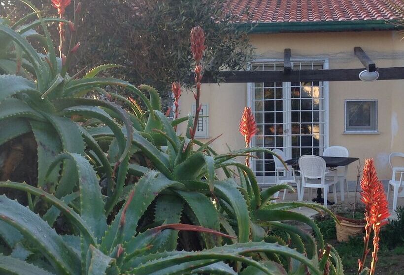 호텔 Le Stanze Sul Mare