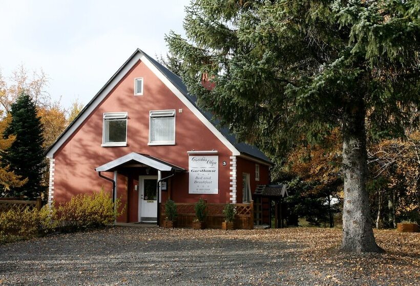 هتل Olga Guesthouse