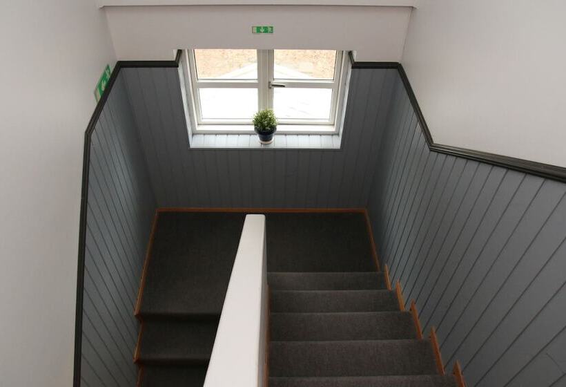 هتل Olga Guesthouse