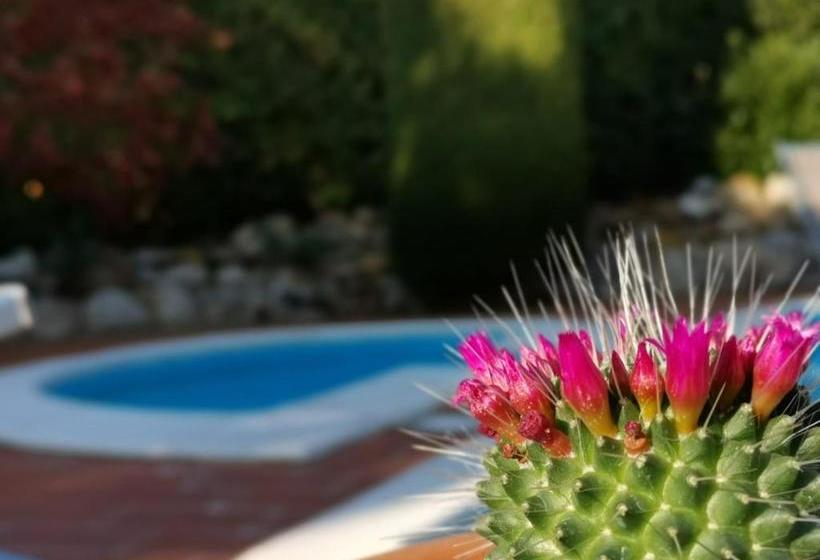 هتل Podere Le Monache