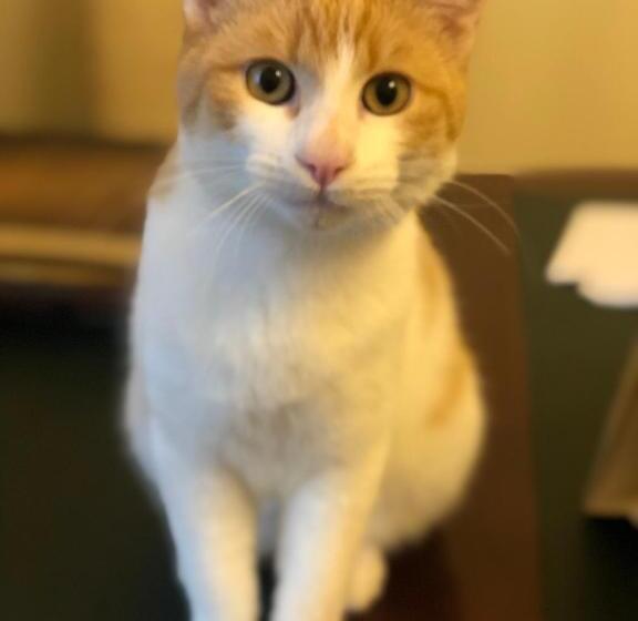 호텔 Relais La Rupe