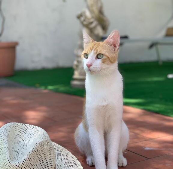 호텔 Relais La Rupe