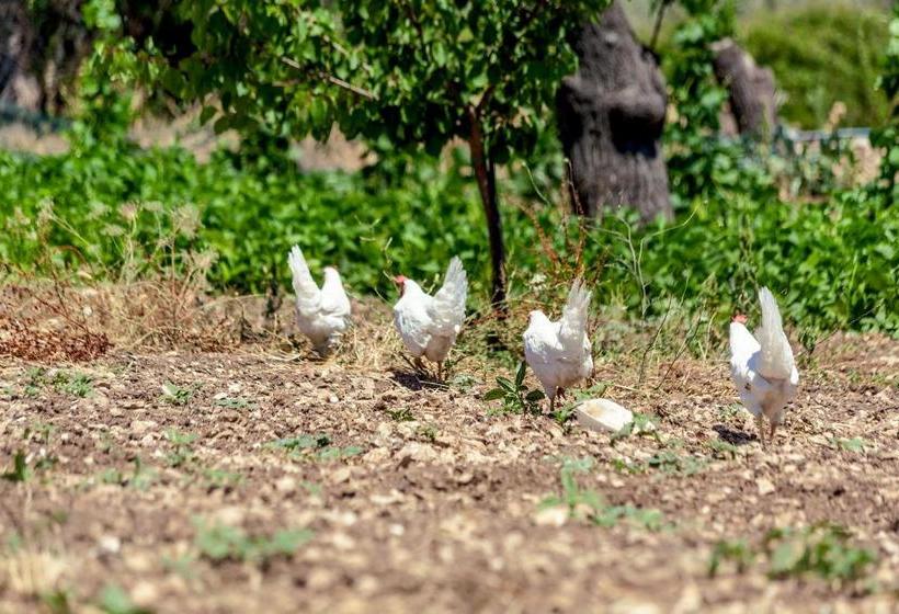 هتل Relais Villa Del Monte