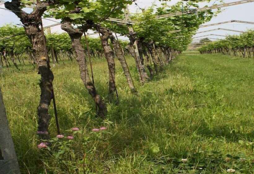 ホテル Relais Villa Lezard