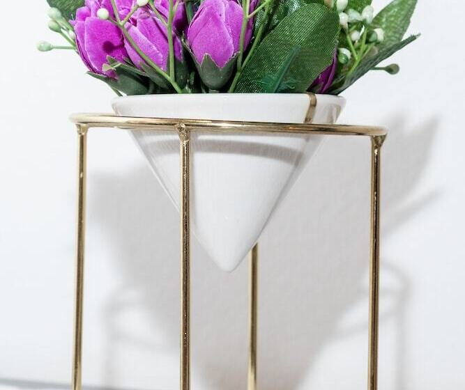 هتل Safari House Suite