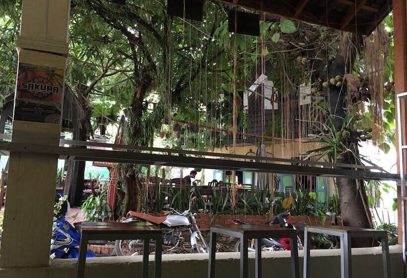 Отель Y Not Laos Hostel