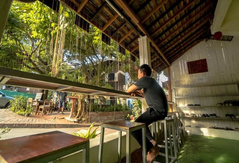 בית מלון כפרי Y Not Laos Hostel