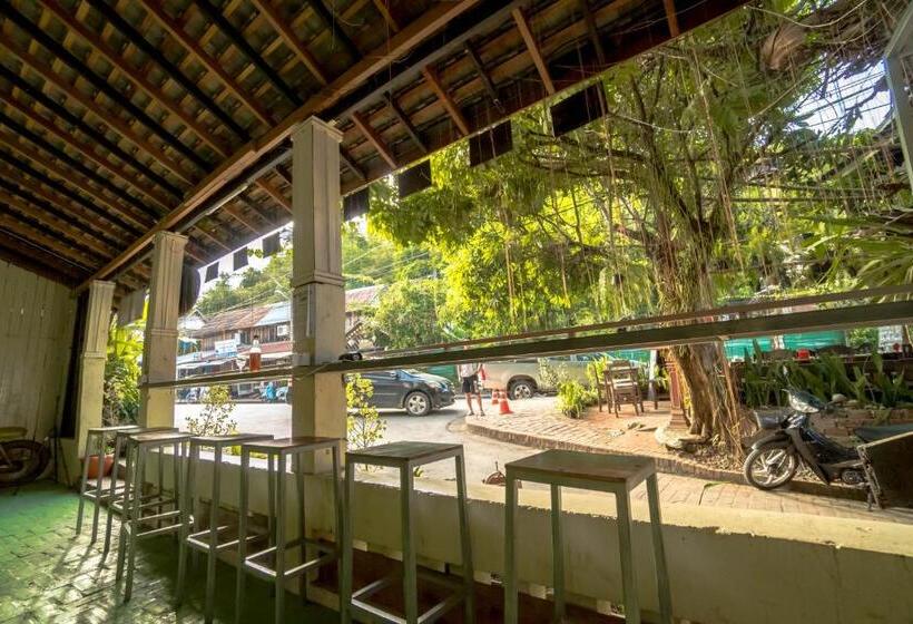 בית מלון כפרי Y Not Laos Hostel