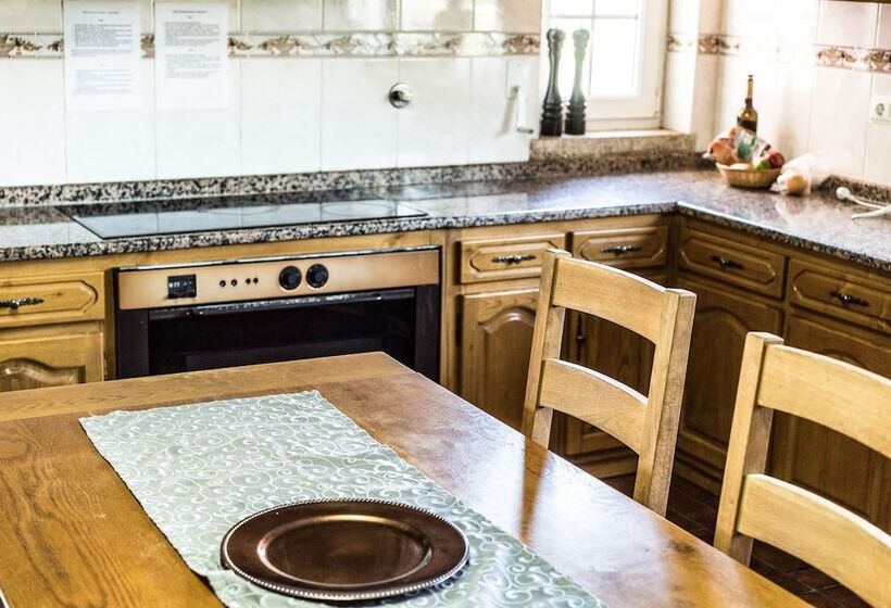 ホテル Albufeira Lounge Guesthouse Hostel