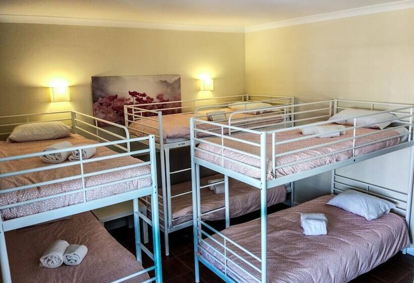 ホテル Albufeira Lounge Guesthouse Hostel