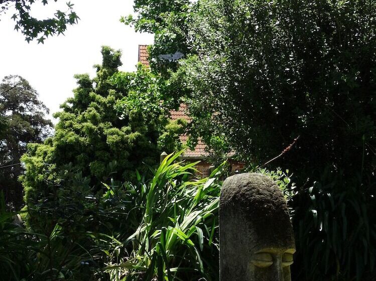 Отель Andelin Guest House