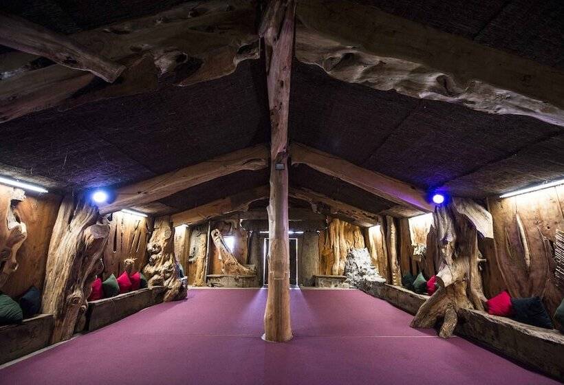 هتل Beachcomber Lodge & Backpacker