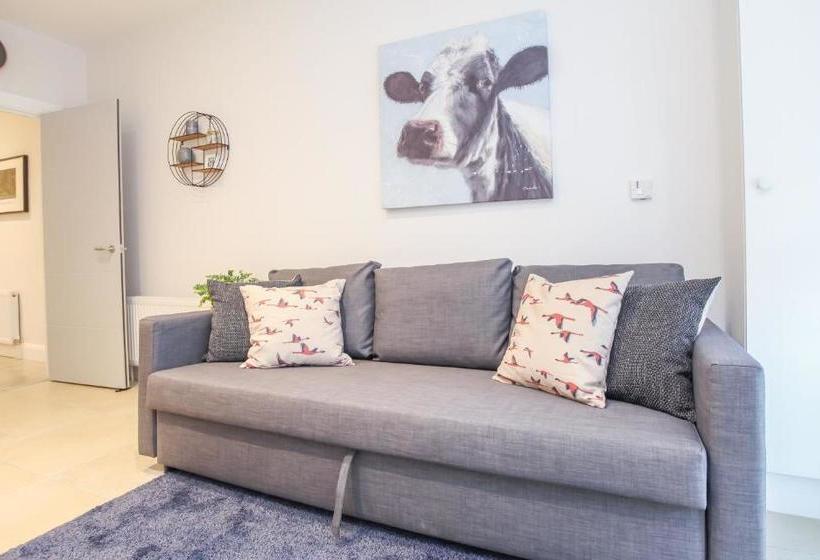 فندق Central Belfast Apartments: 7 Camden Street