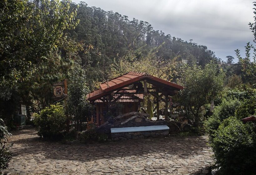 ホテル Casas Maravilha Calheta