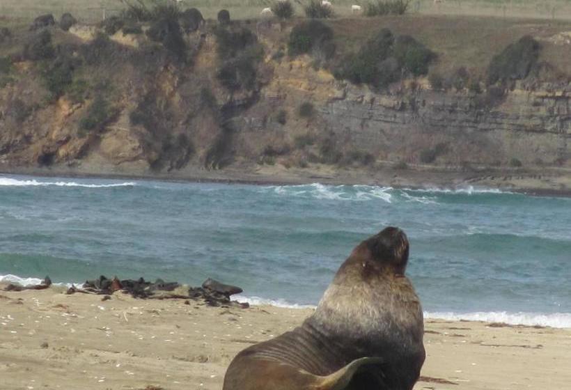 호텔 Catlins Lake Sanctuary