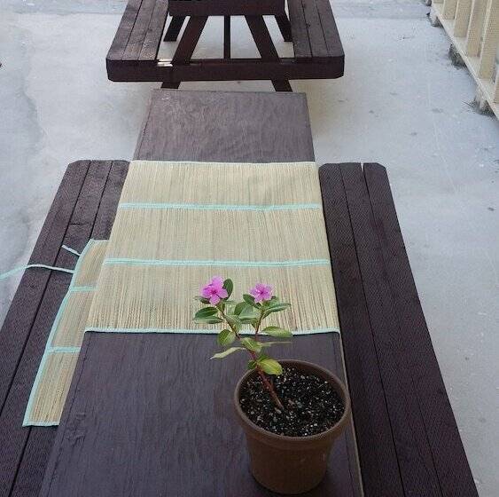 هتل Daora Guesthouse