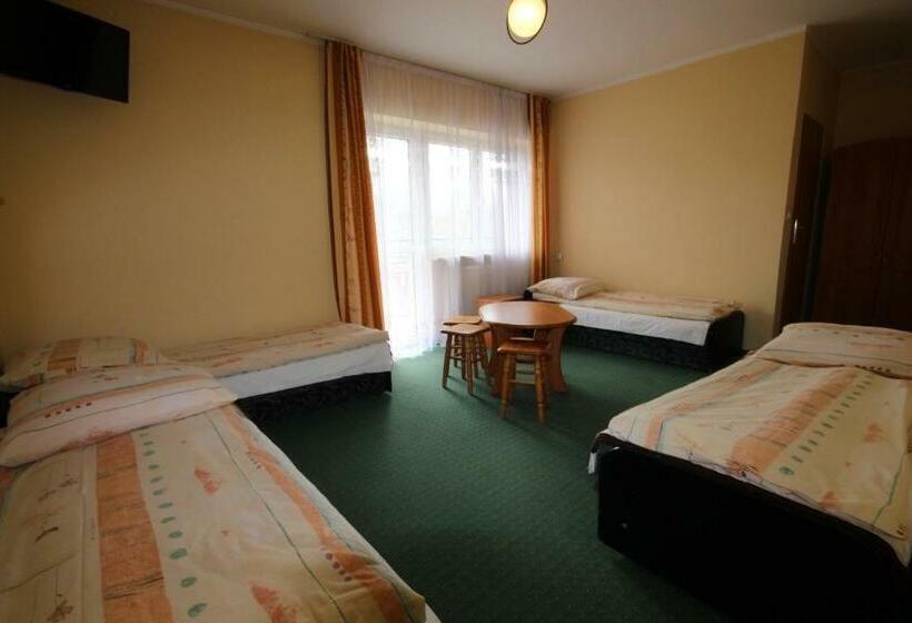 Отель Dom Wypoczynkowy Tulipan