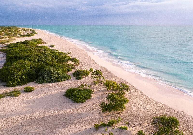 渡假胜地  Grand Palladium Select Costa Mujeres