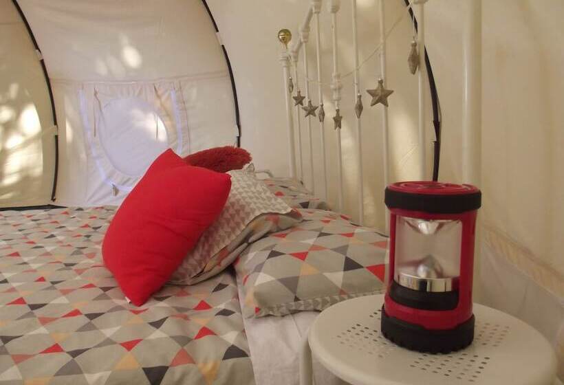 בית מלון כפרי Greytown Campground