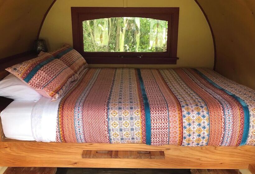 בית מלון כפרי Greytown Campground