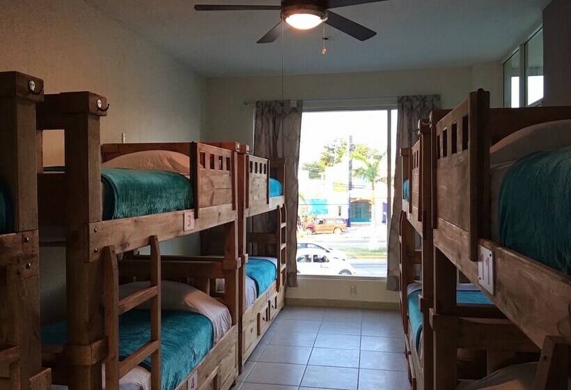 酒店 Hostal Bucerias