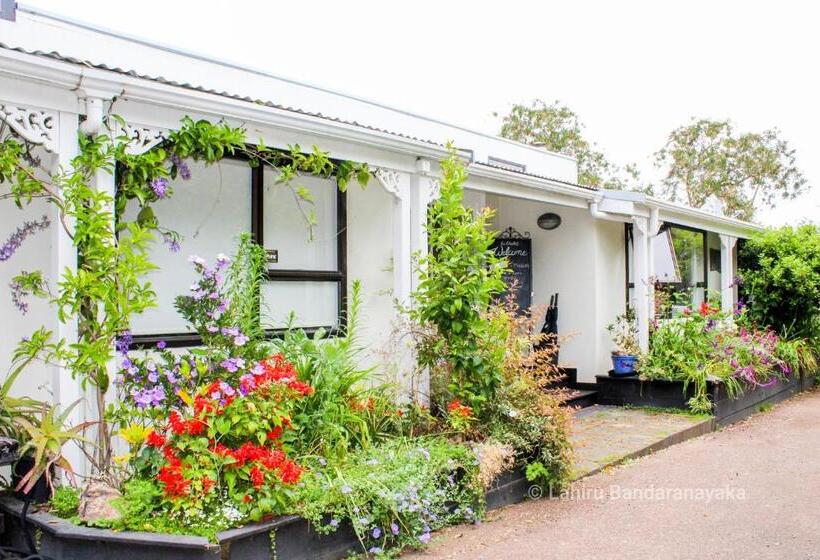 בית מלון כפרי Le Chalet Waiheke Apartments