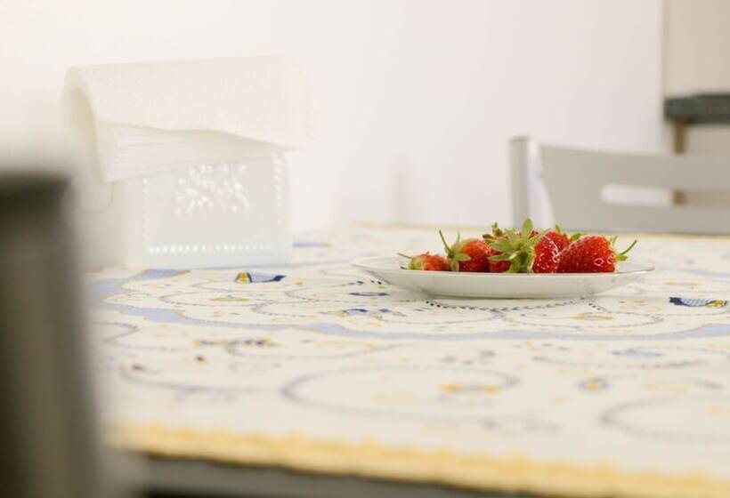 호텔 Mocho Guesthouse