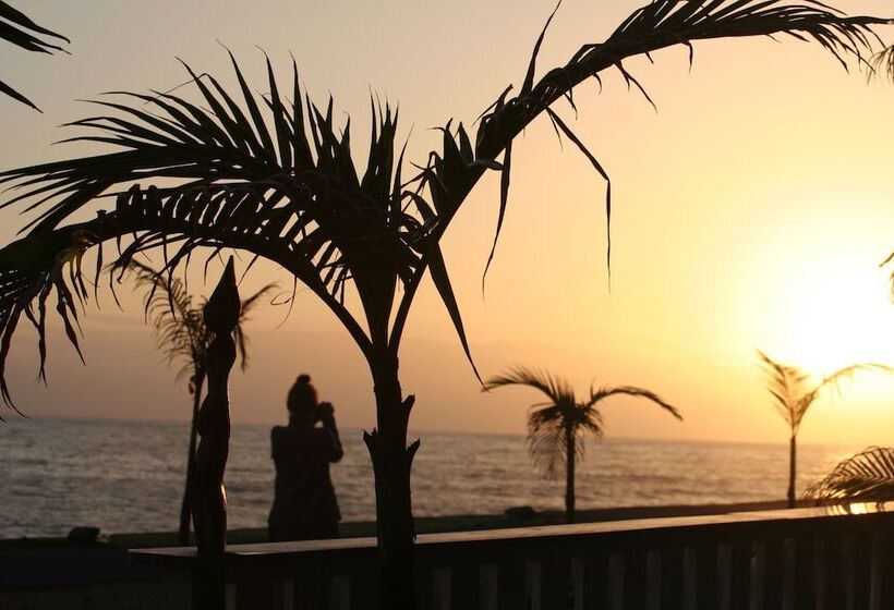 בית מלון כפרי One Love Maktub