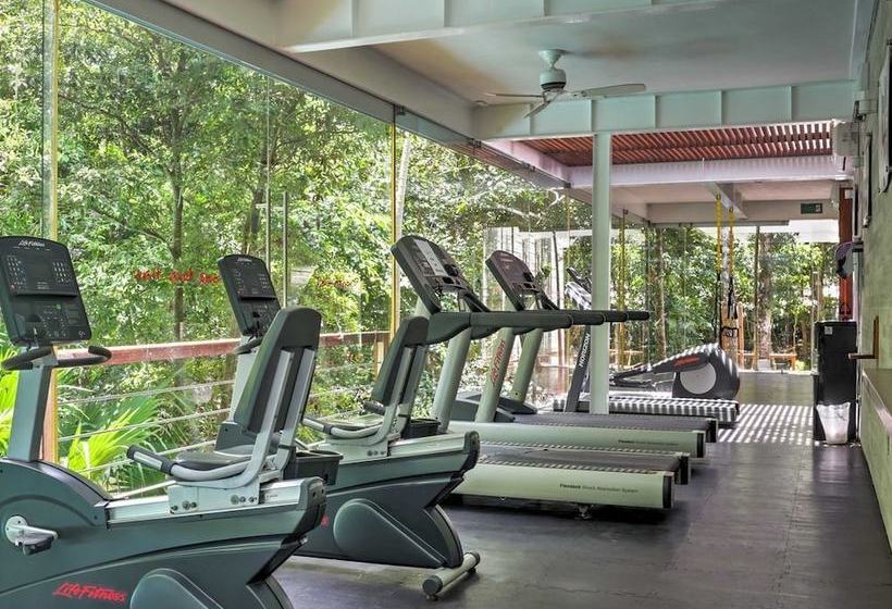 호텔 Paraiso Maya Luxury Resort