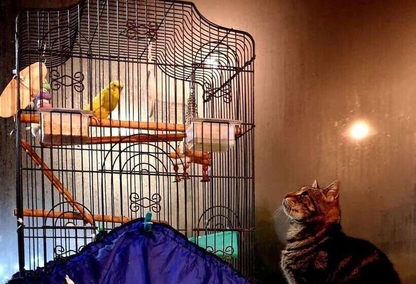 هتل Piwaka Lodge And Backpackers