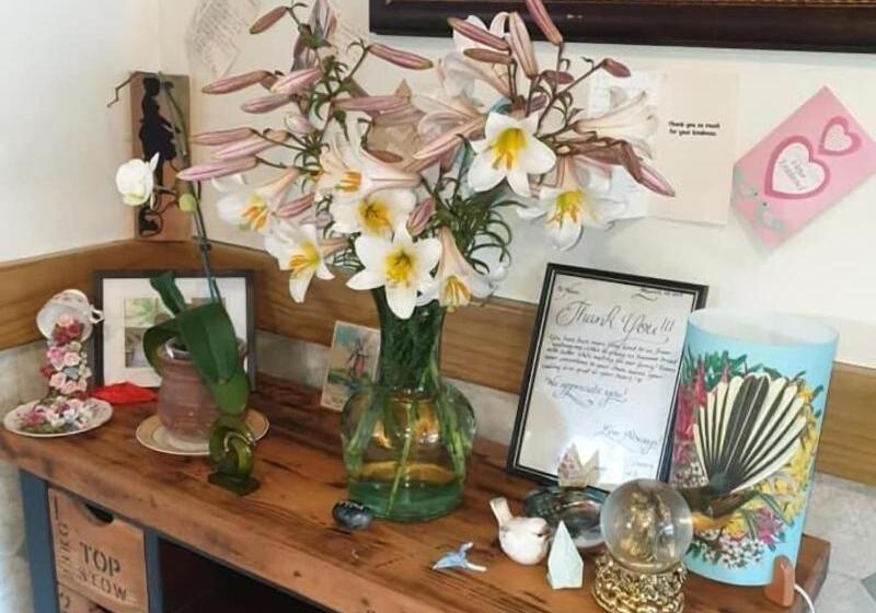 هتل Piwaka Lodge And Backpackers