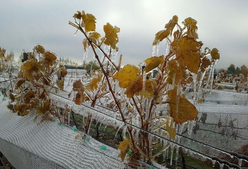 ホテル River Rock Estate