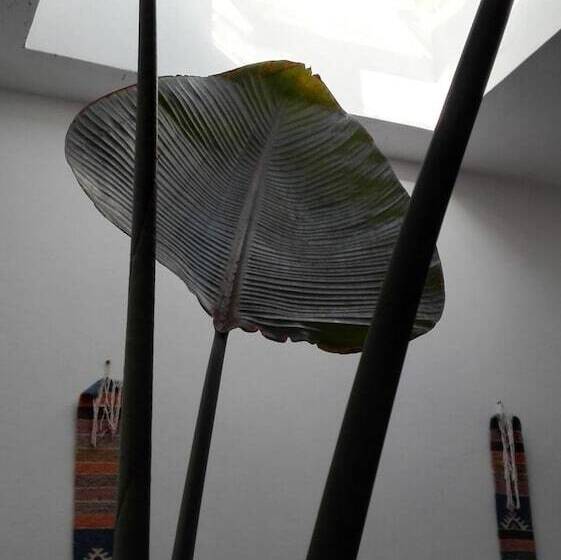 בית מלון כפרי Ryad Les Sultanes