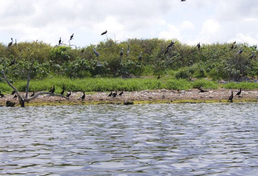 호텔 San Felipe Inn Yucatan