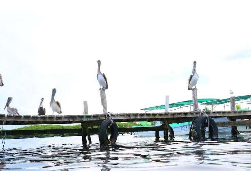 호텔 San Felipe Inn Yucatan