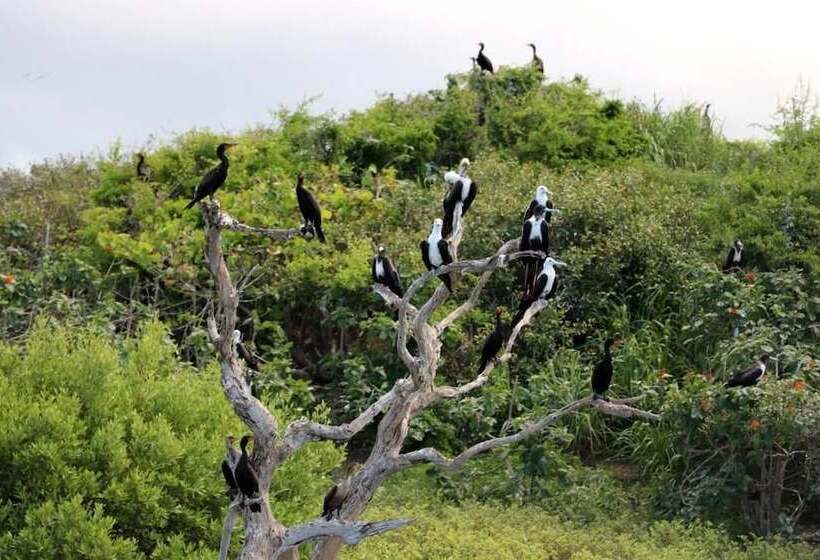 호텔 San Felipe Inn Yucatan