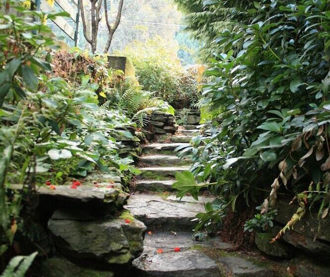 Отель The Flaming Kiwi Backpackers