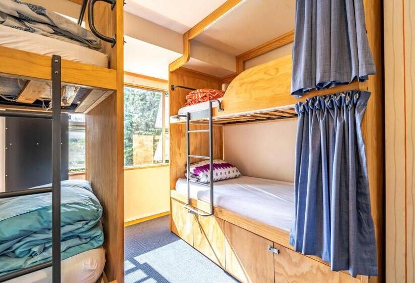 Отель The Flaming Kiwi Backpackers