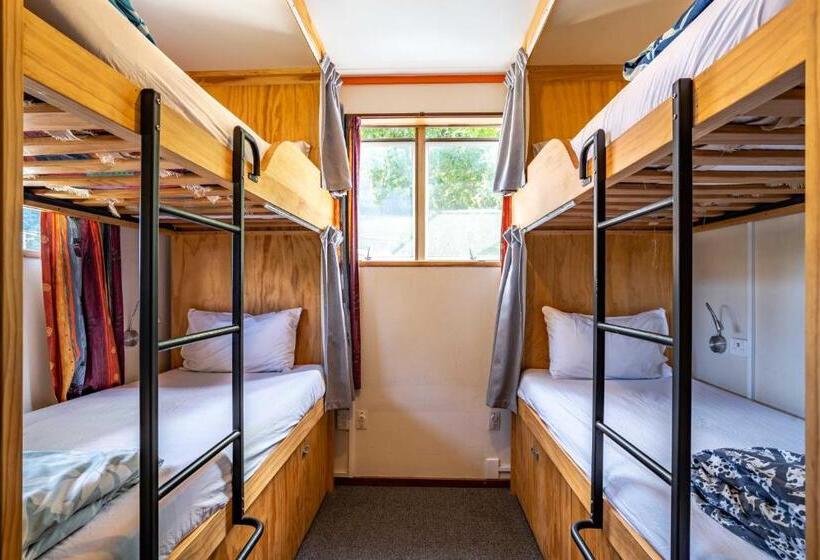 Отель The Flaming Kiwi Backpackers