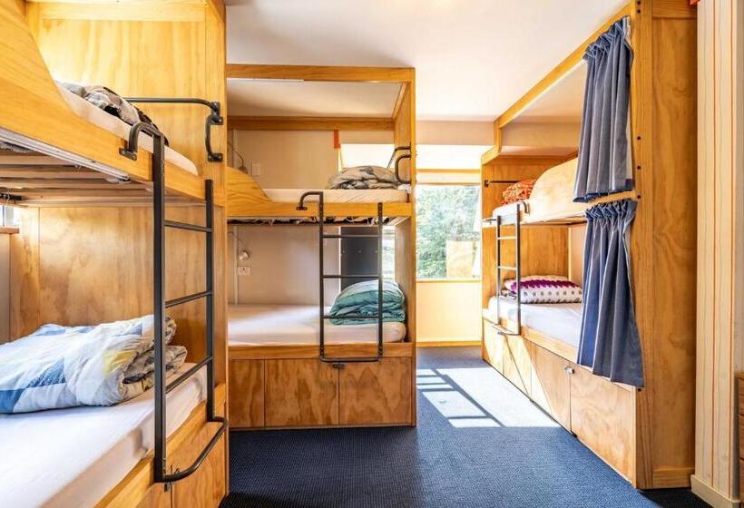 Отель The Flaming Kiwi Backpackers