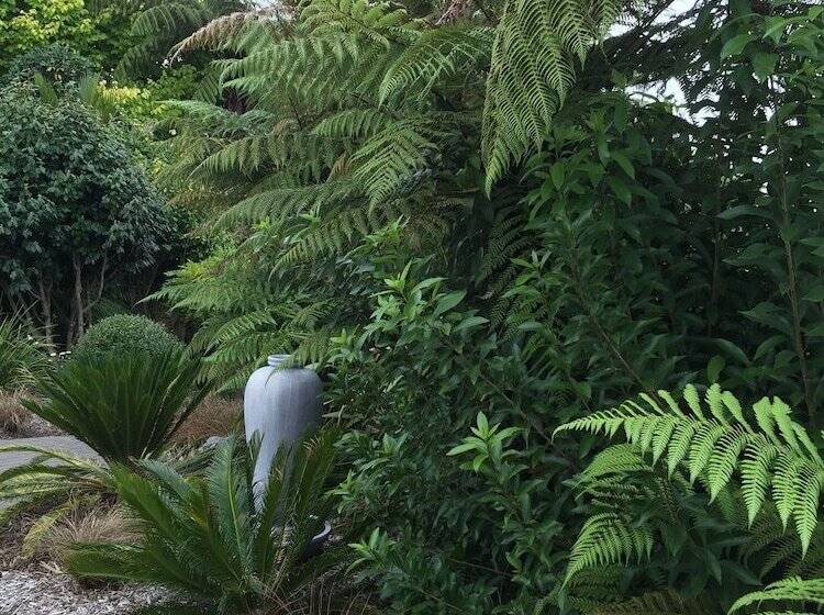 Отель The Flying Trout Boutique Lodge