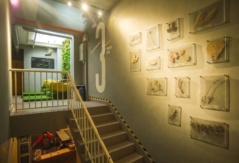 בית מלון כפרי Traveller Bunker Hostel 1