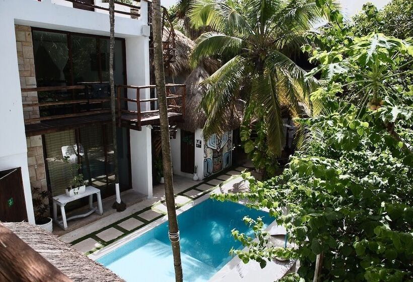 בית מלון כפרי Tuup Jungle