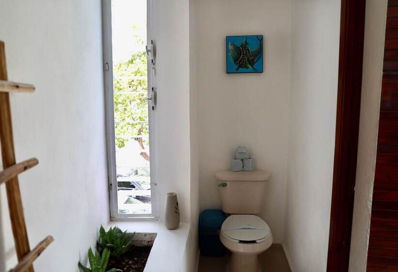 בית מלון כפרי Tuup Jungle