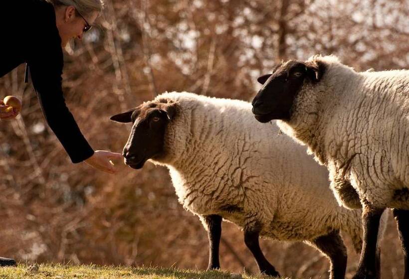 酒店 Whakaipo Lodge